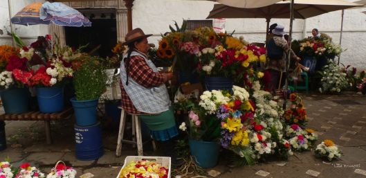 Cuenca Ecuador Flower Market