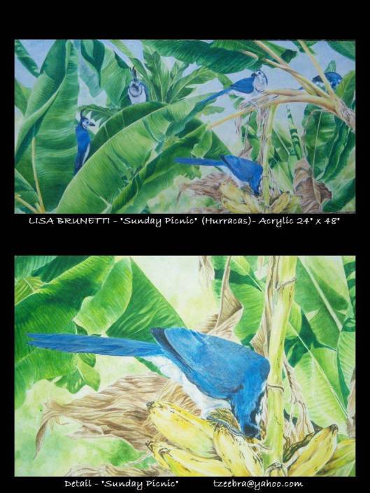 Acrylic Study of Magpie Jays- Costa Rica
