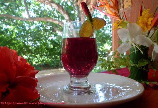 Hibiscus tea straight from that green hedge in the background.