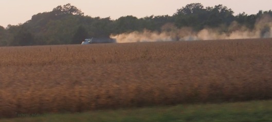 Soybean Harvest near Merigold Mississippi