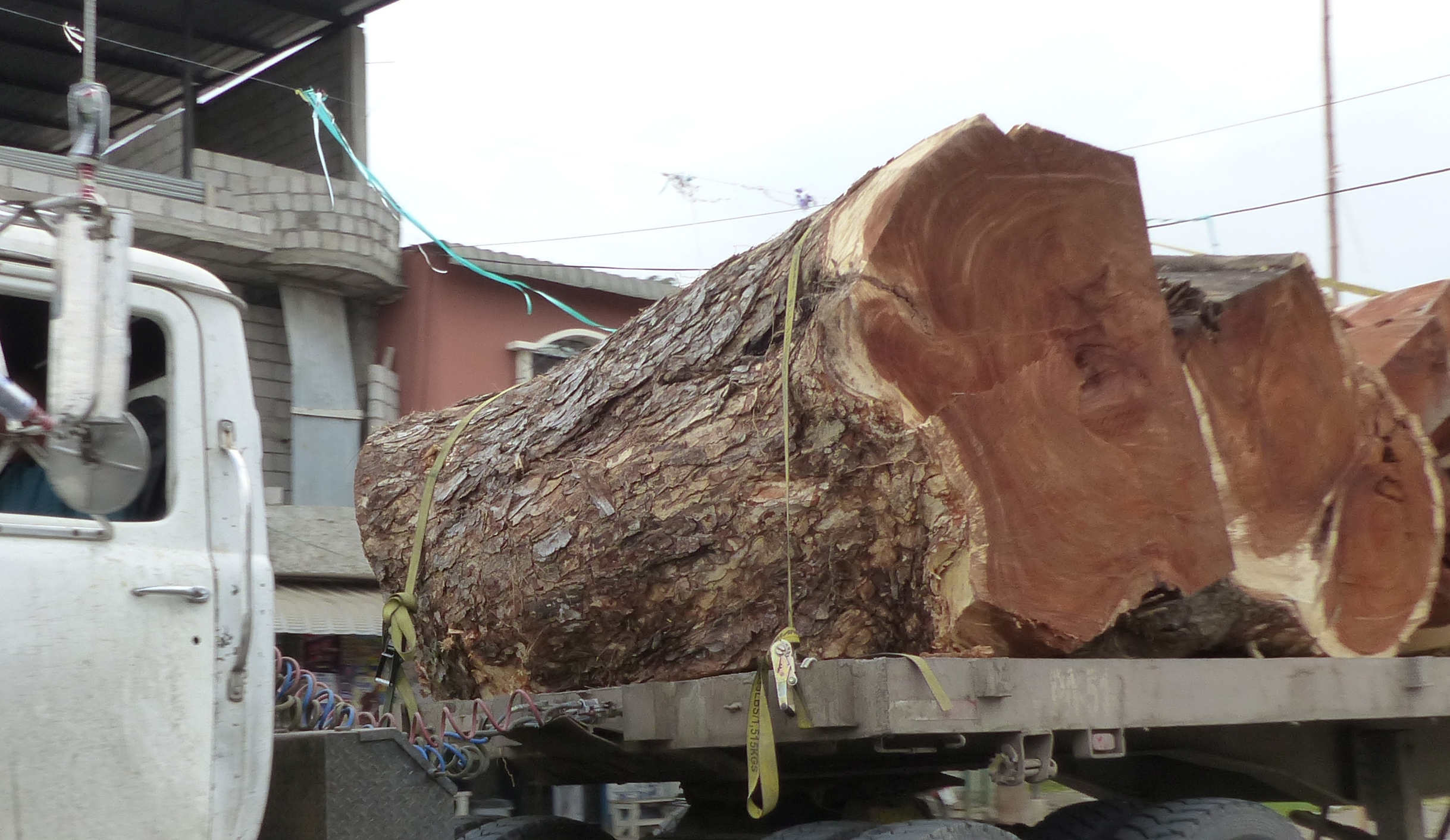 P2290646 nov 26 chunks of trees on truck deforestion
